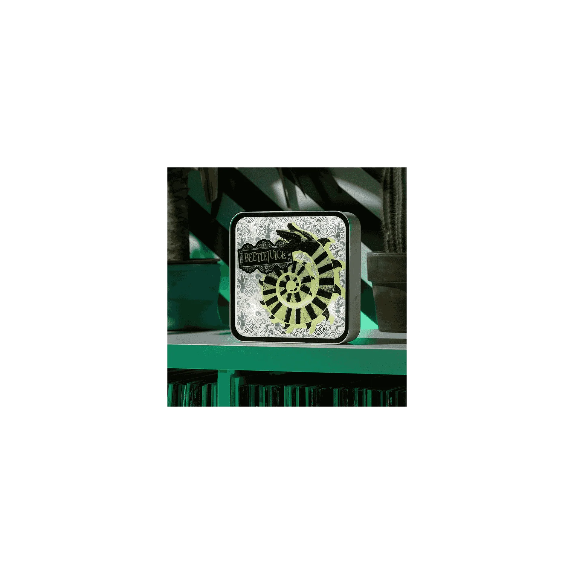Miniatura 6