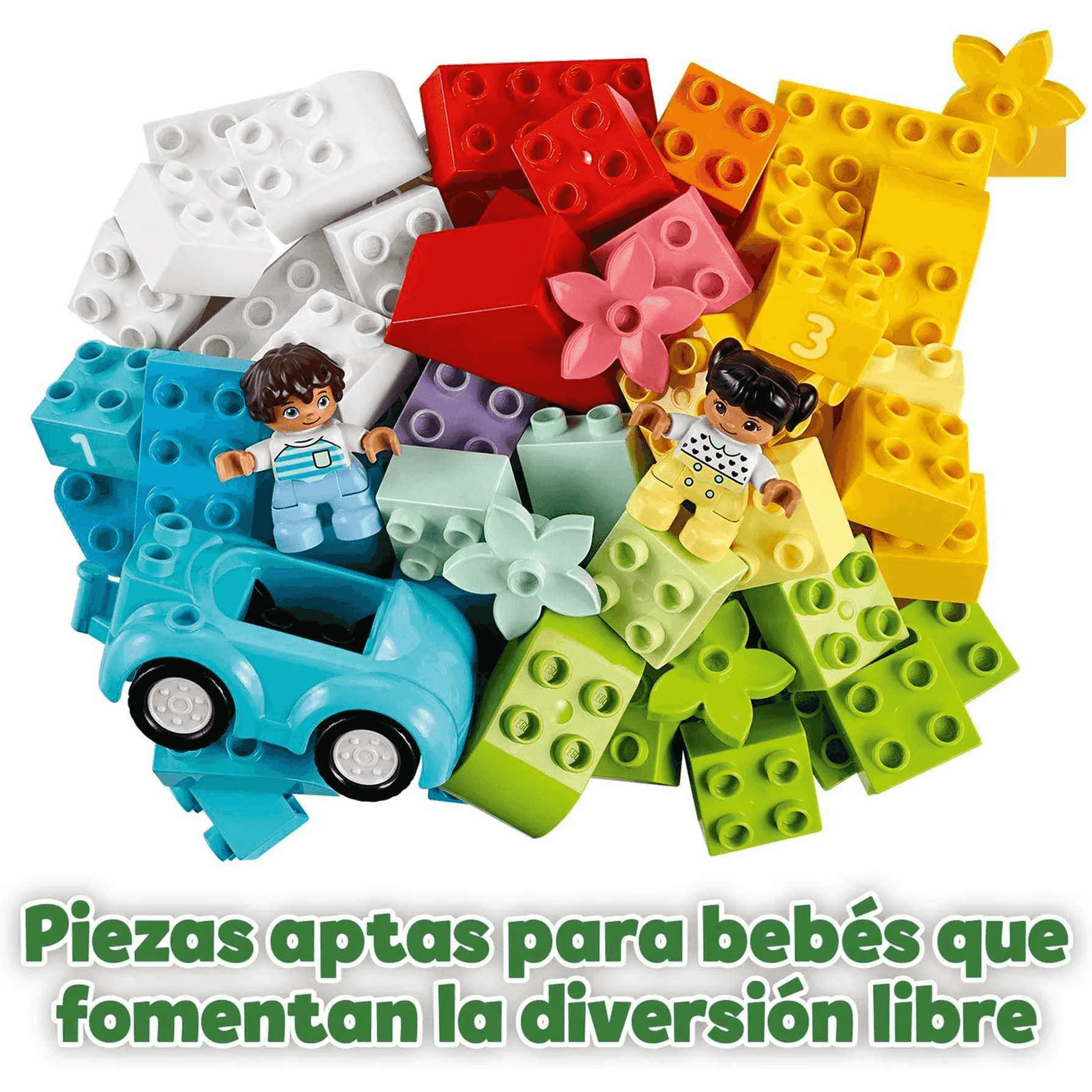 Miniatura 7