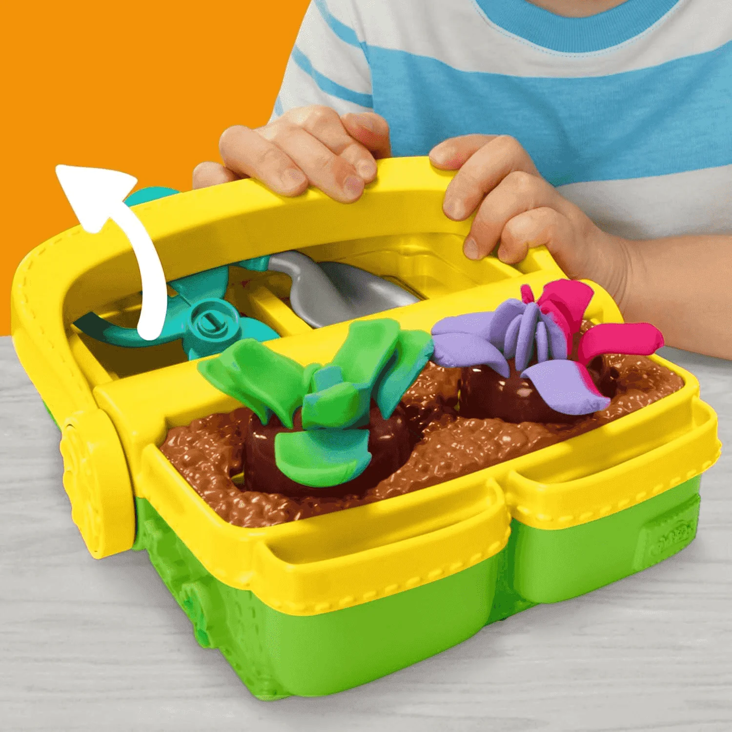 Miniatura 4