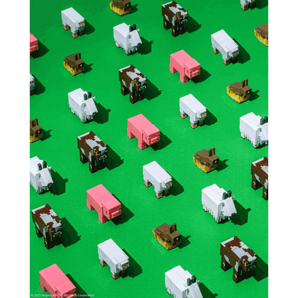 Miniatura 6